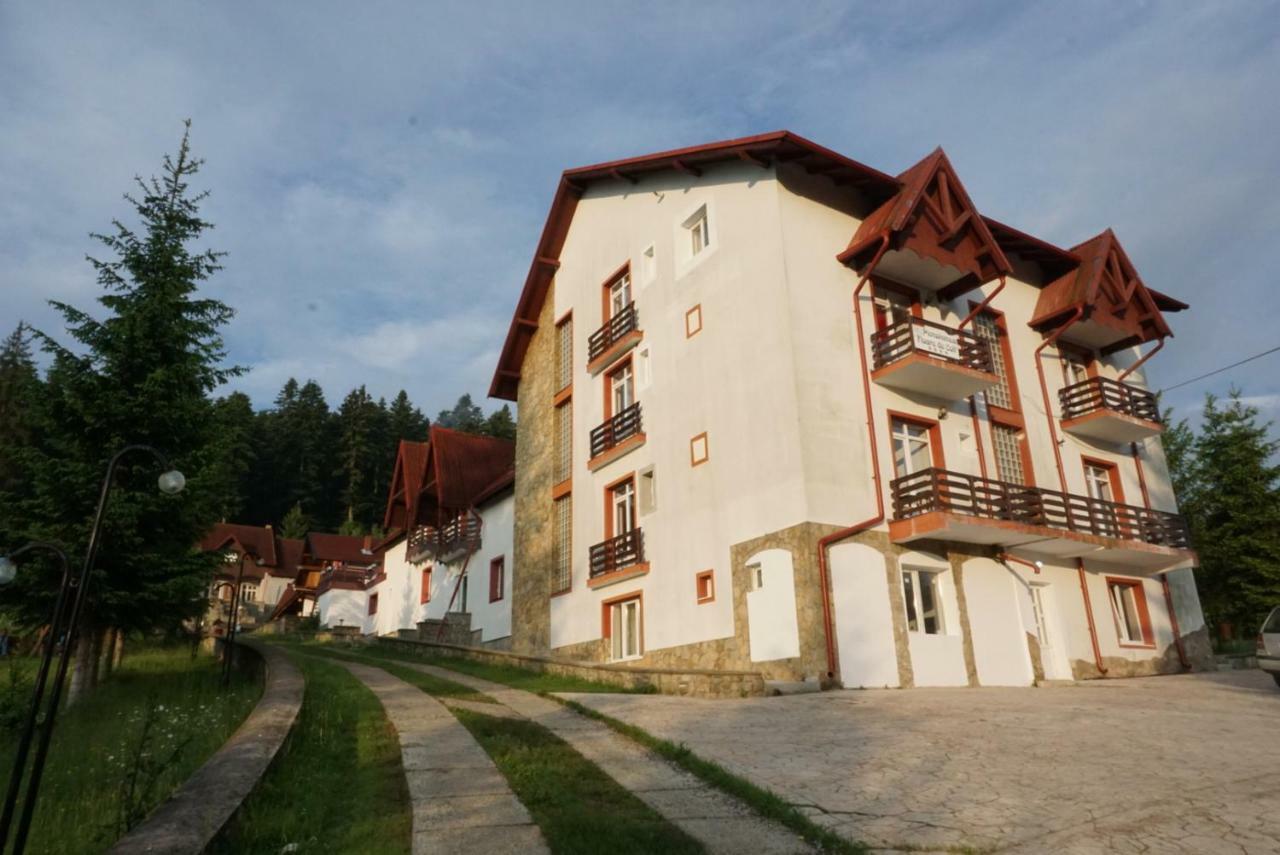 Hotel Floare De Colt Manastirea Humorului Exterior photo